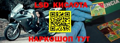 ПСИЛОЦИБИНОВЫЕ ГРИБЫ Кандалакша
