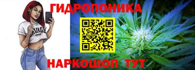 ПСИЛОЦИБИНОВЫЕ ГРИБЫ Кандалакша